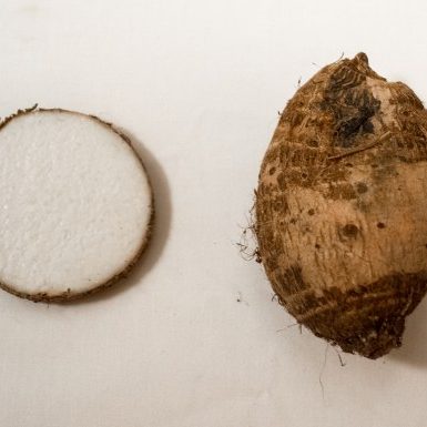 Dasheen (Root)_Tim Evanson_httpswww.flickr.comphotos23165290@N002624...