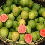 Guava (Apple)_Sakurai Midori_Own Work_Wikipedia