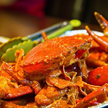 Mud Crab © Shailesh Naidu